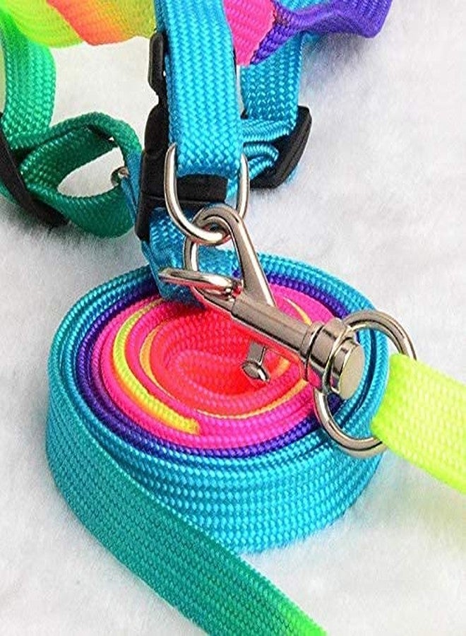 Pups&Pets Rainbow Color Puppy Harness & Leash Set Small Dog Harness Leash Size 15 MM (Harness + Leash) - Image 5